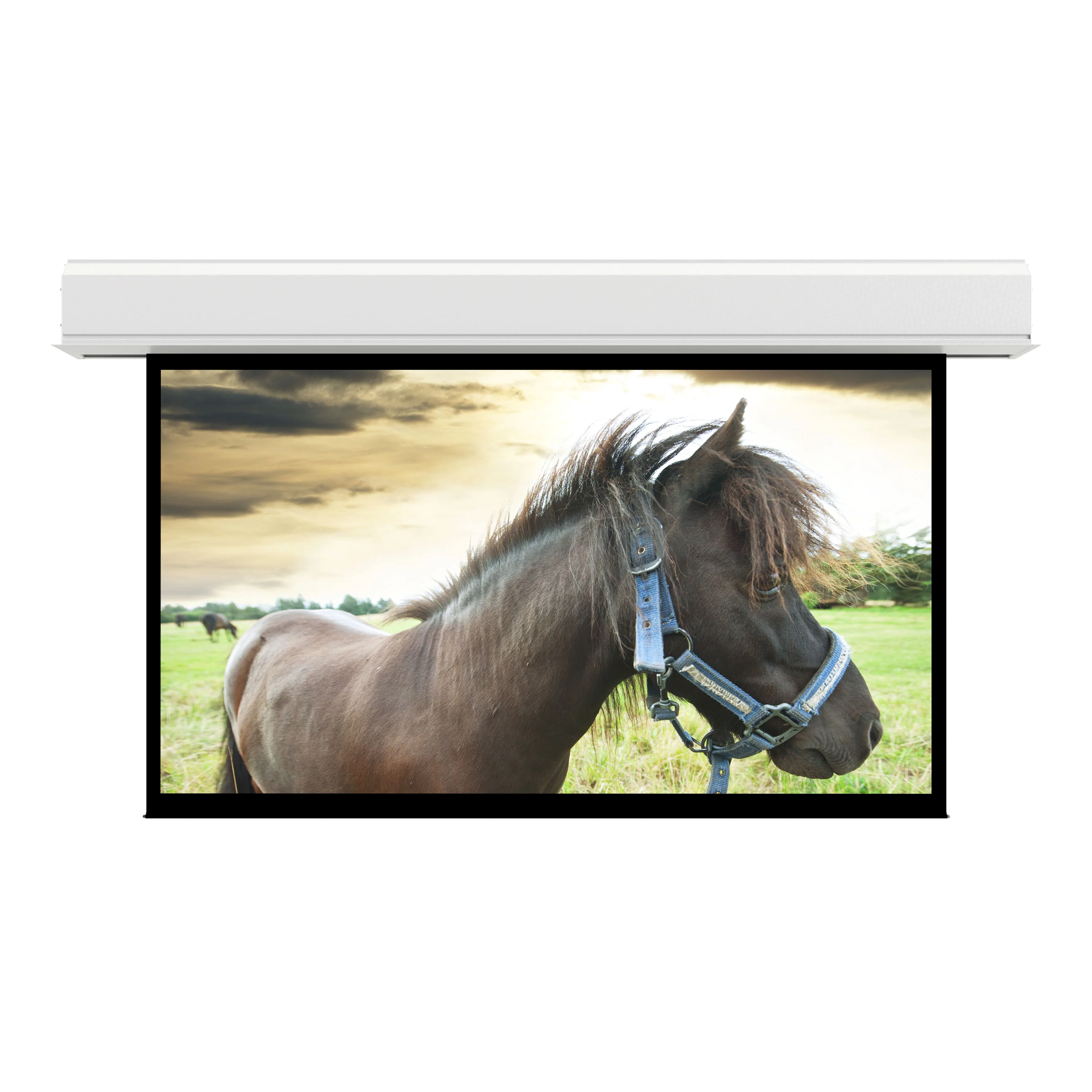 Da-Lite Advantage Series 36982L 133x236 Recessed Electric Projection Screen