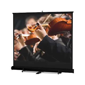 Da-Lite Floor Model C 116-inch Portable Pull-Up Projection Screen