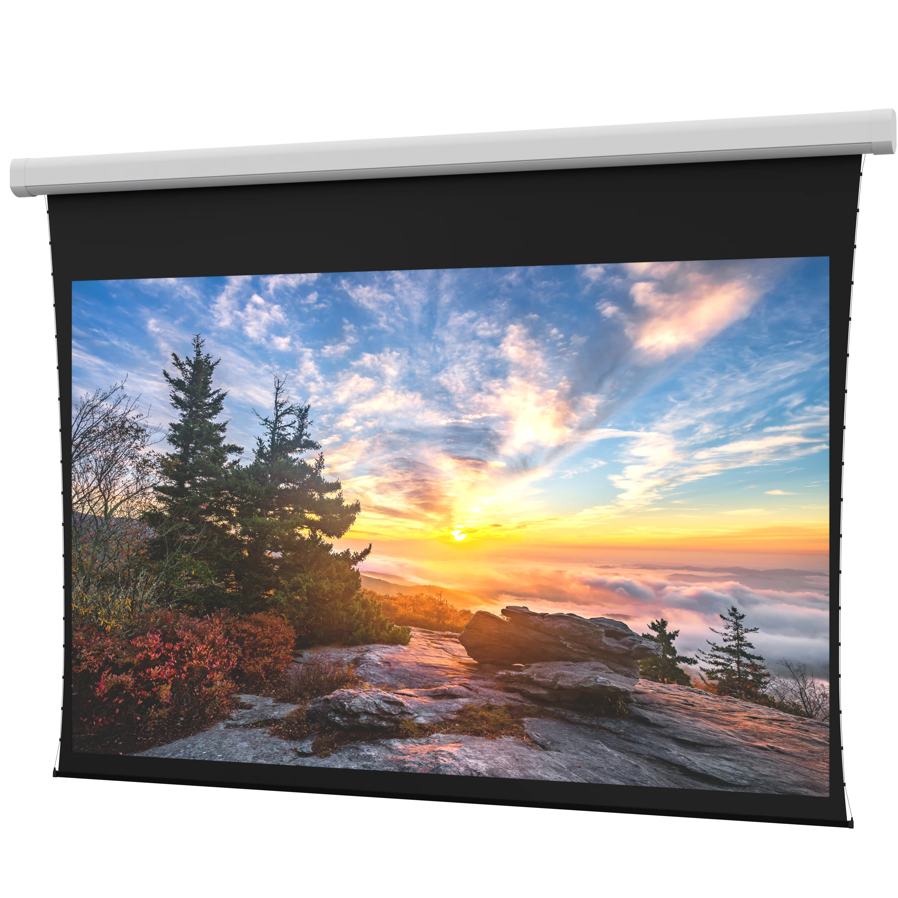 Da-Lite Myriad Reveal 193" Tensioned Electric Projection Screen DL100102L