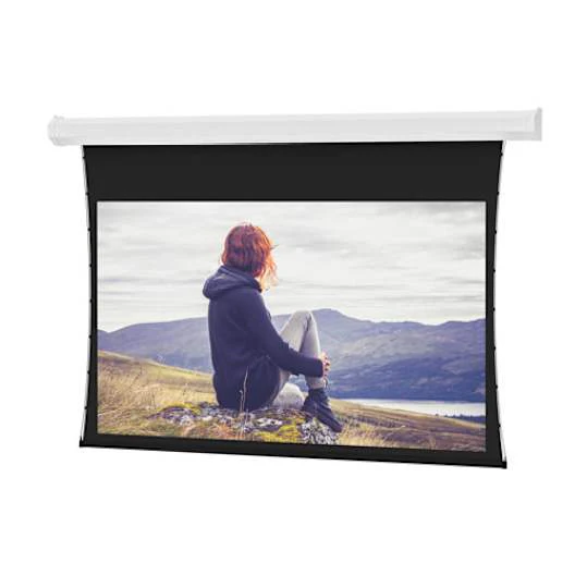 Da-Lite Tensioned Cosmopolitan 123" Electric Projection Screen Da-Mat