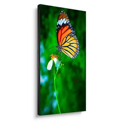 NEC PN-UN553S 55" Ultra-Narrow Bezel Professional Display - Image 2