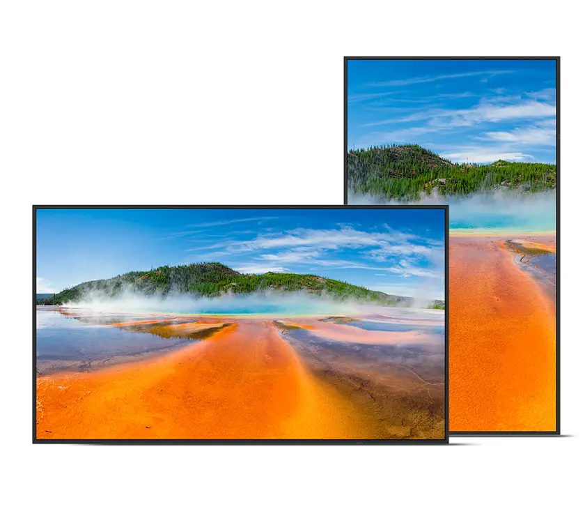 Sharp PN-E559 55-Inch 4K Ultra HD Professional Commercial Display