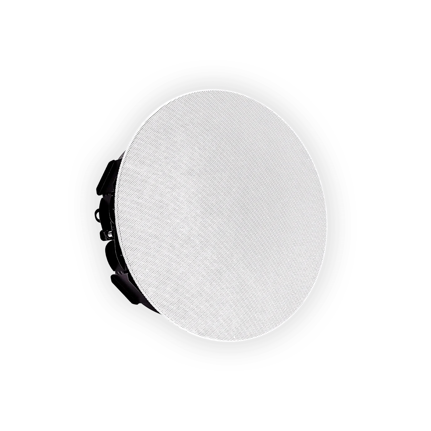 Shure Microflex MXN5W-C PoE Networked Ceiling Loudspeaker for AV Conferencing - Image 2