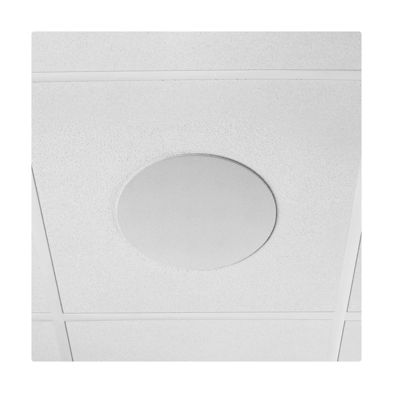 Shure Microflex MXN5W-C PoE Networked Ceiling Loudspeaker for AV Conferencing - Image 6